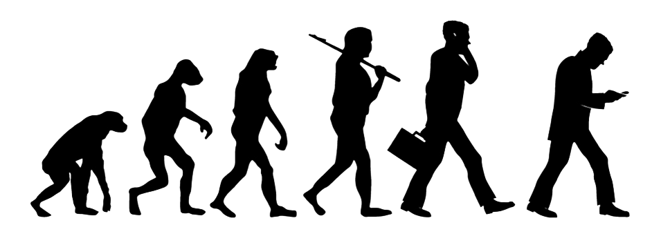 evolúciós ábra